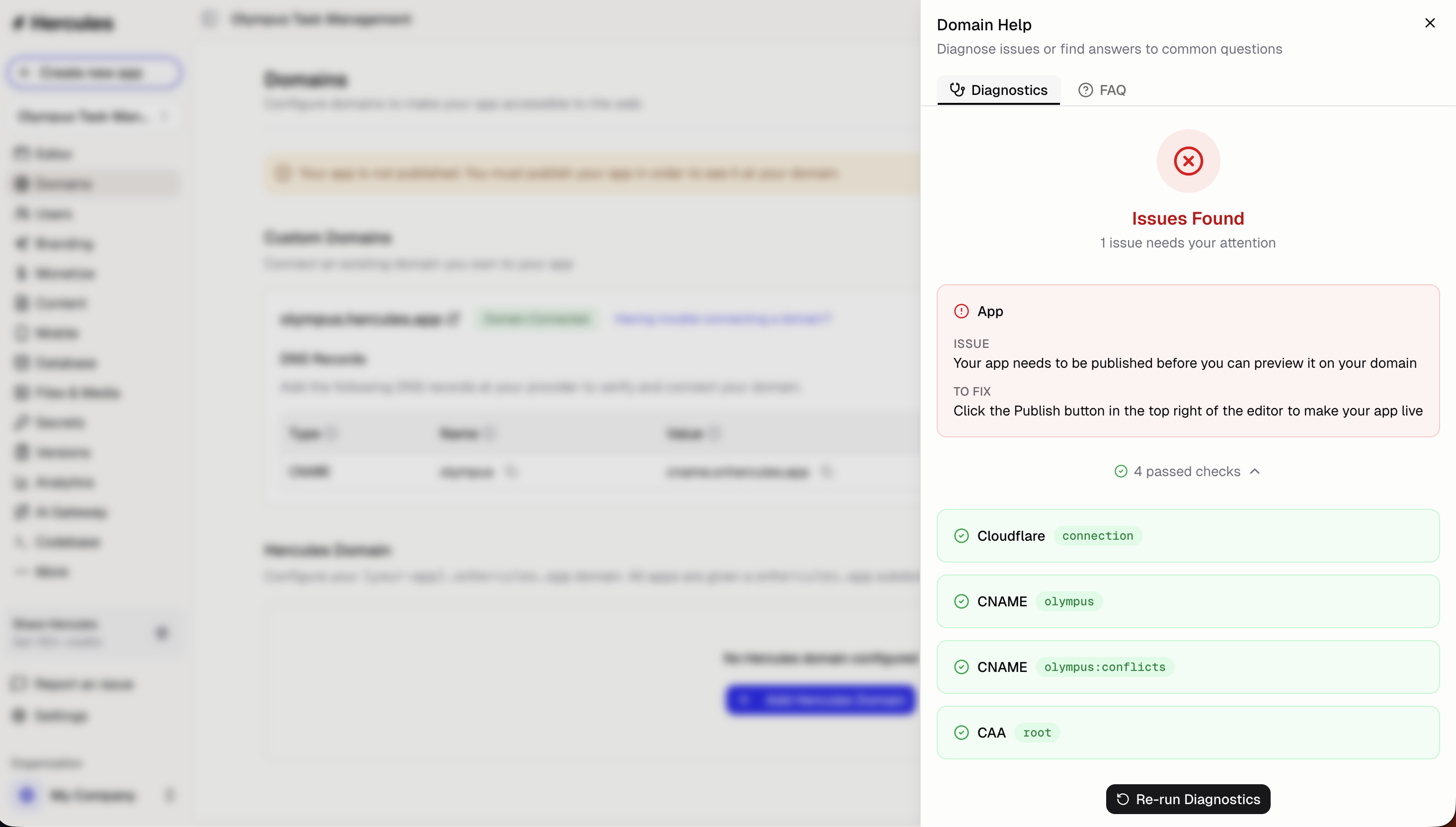 Custom domain diagnostics tab showing failed DNS records with the expected and actual values for each